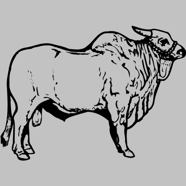 COW018 Thumbnail