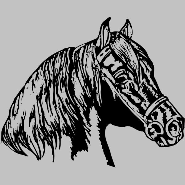 HORSE002 Thumbnail