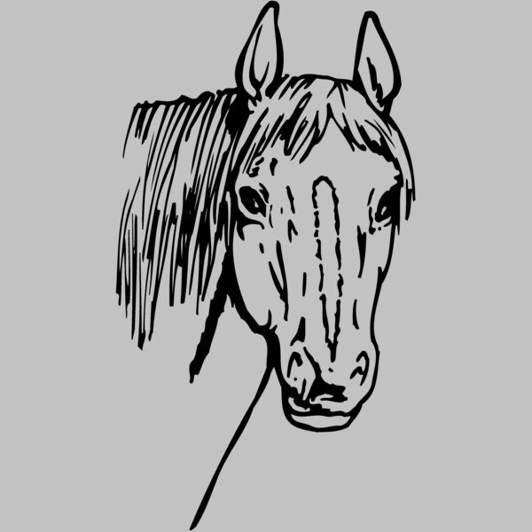 HORSE003 Thumbnail