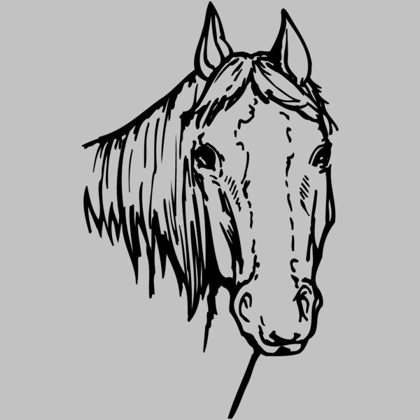 HORSE004 Thumbnail