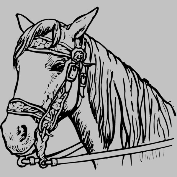 HORSE005 Thumbnail