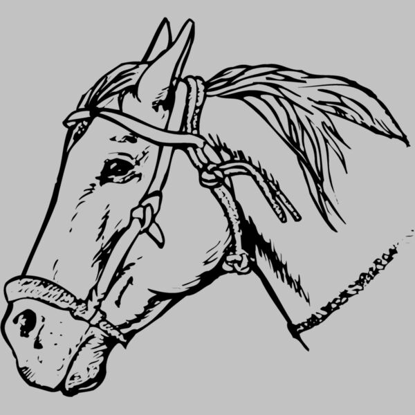 HORSE007 Thumbnail