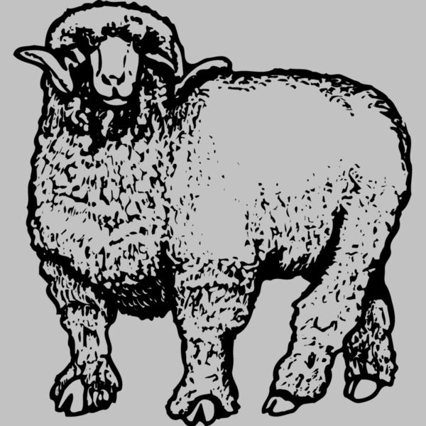 SHEEP001 Thumbnail
