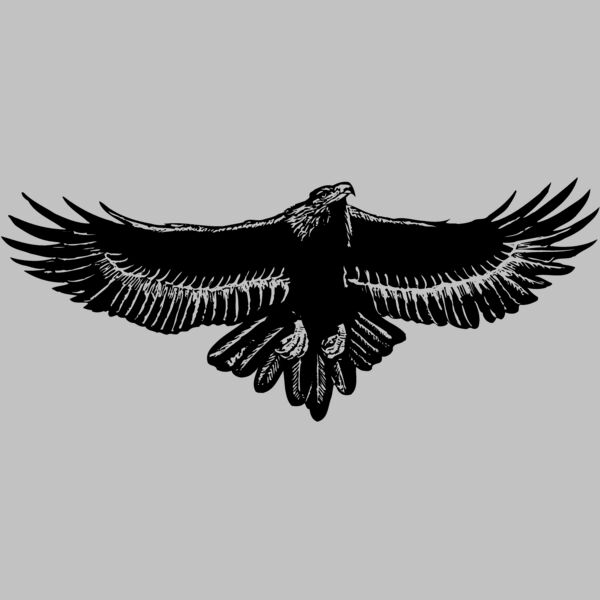 EAGLE010 Thumbnail