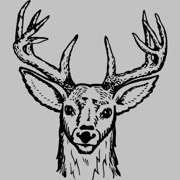 DEER012 Thumbnail