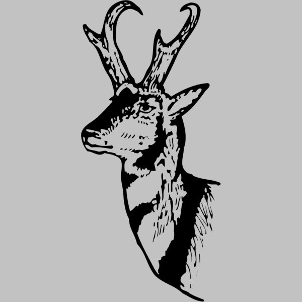 DEER013 Thumbnail