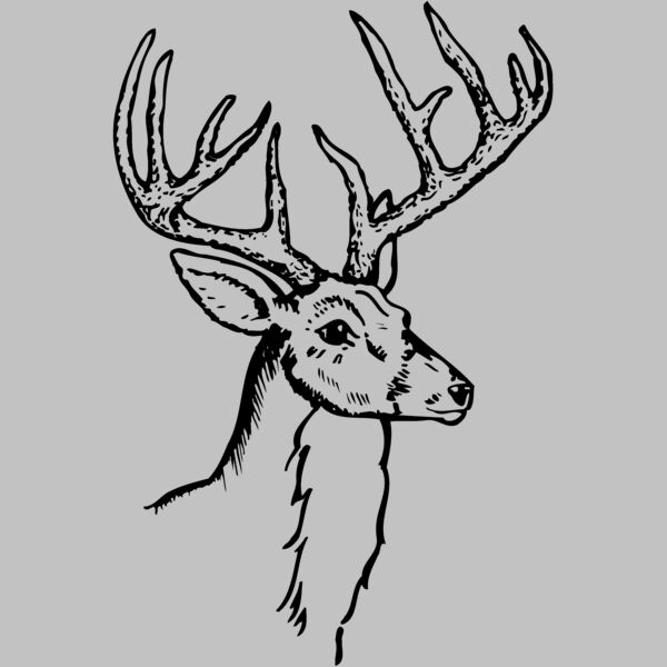 DEER017 Thumbnail