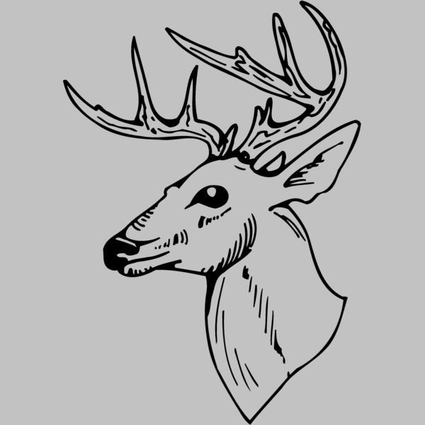 DEER018 Thumbnail