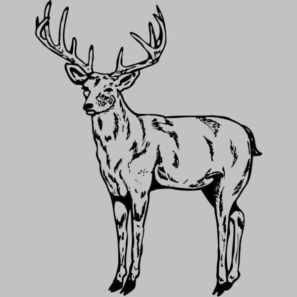 DEER021 Thumbnail