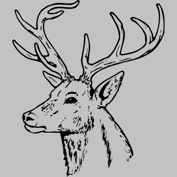 DEER022 Thumbnail