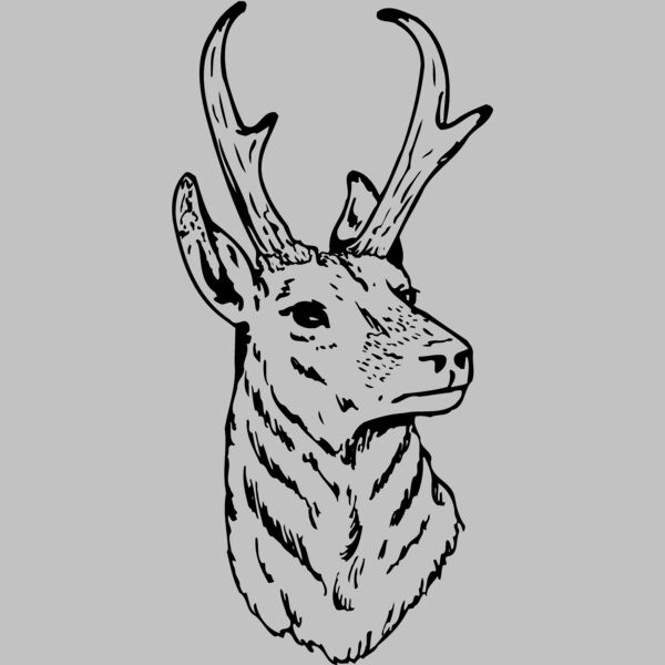 DEER023 Thumbnail