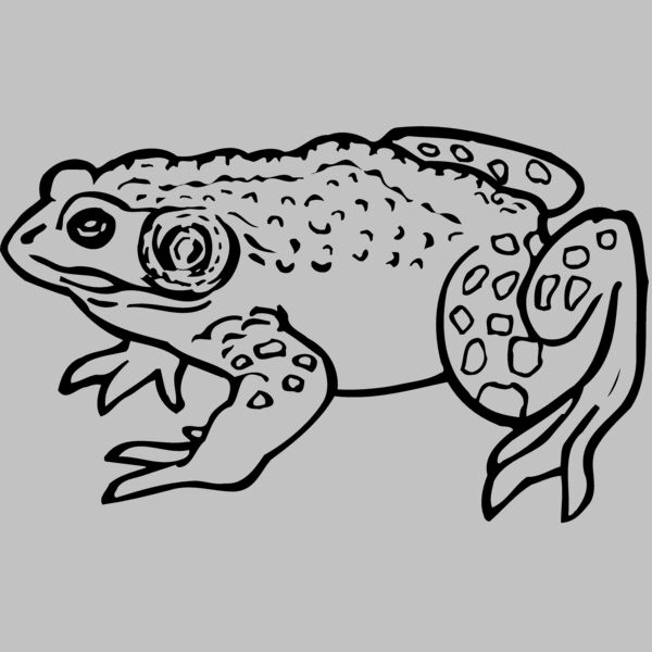 FROG02 Thumbnail