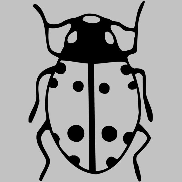 BEETLE03 Thumbnail