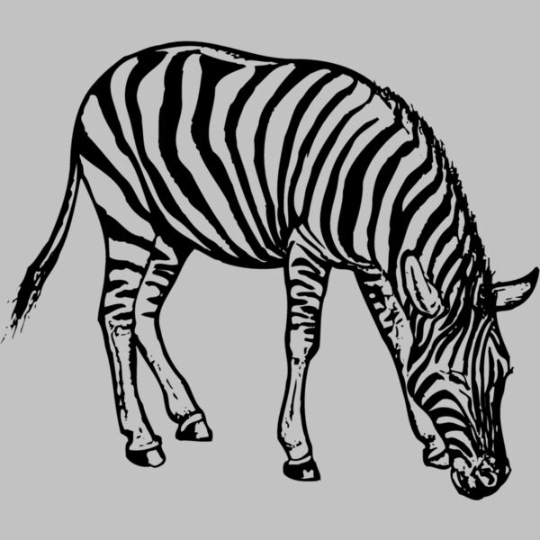 ZEBRA001 Thumbnail